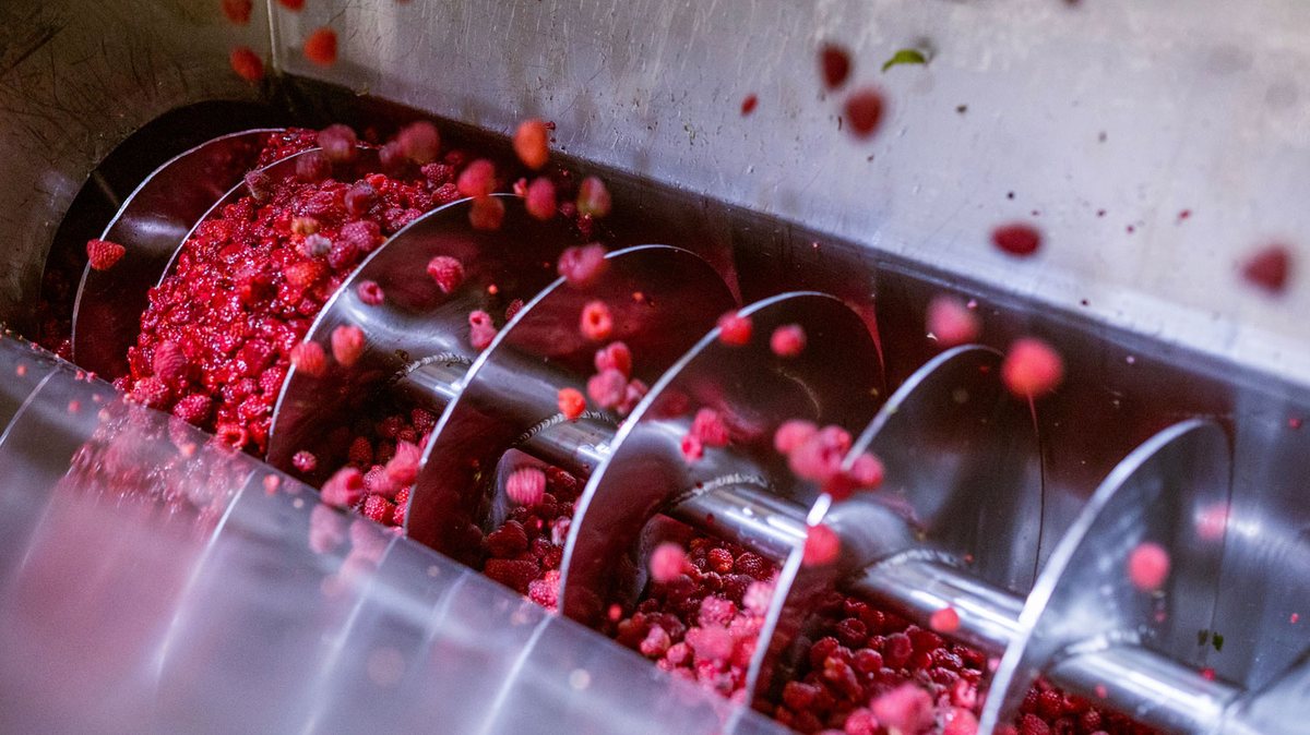 Чем смазывать пресс на производстве продуктов здорового питания?